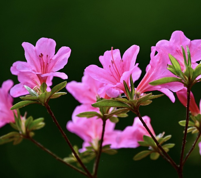 덕가산의 자연경관 사진