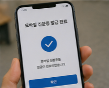 발급 전 확인사항