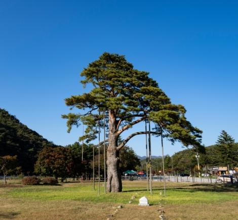 보은 가볼만한곳 베스트10