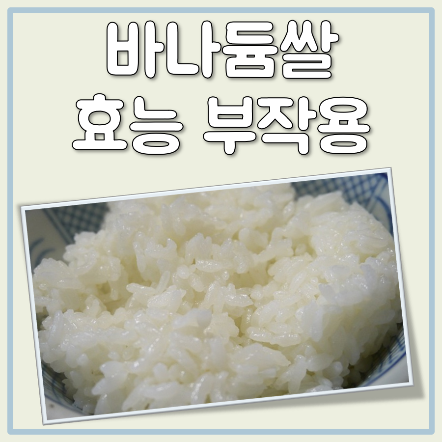 당뇨쌀로 각광받는 바나듐쌀, 효능과 부작용 체크 대표 이미지