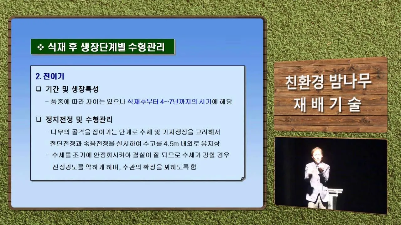 밤나무 재배 수분 수정 꽃가루 관리 해충 방제_1