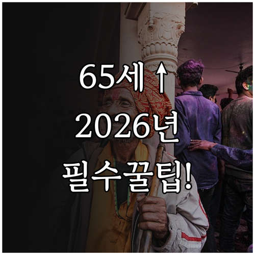 65세 이상 어르신 2026년 스포츠..