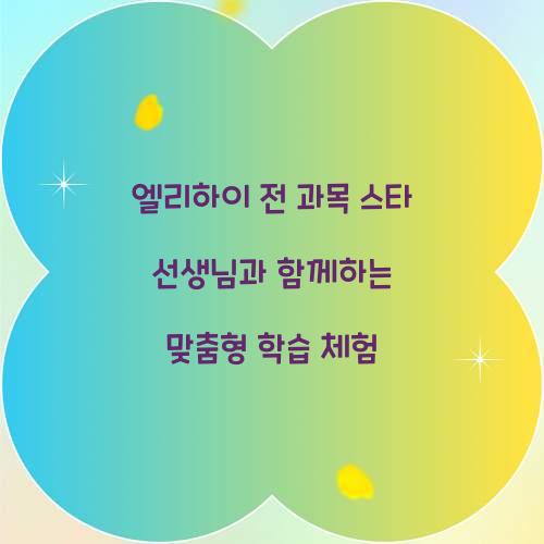 엘리하이 전 과목 스타 선생님