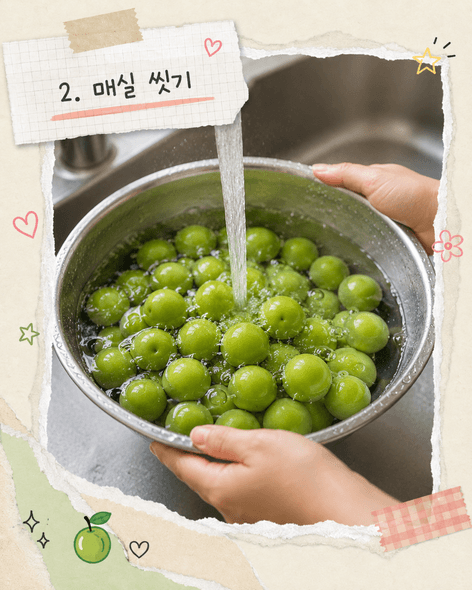 매실장아찌 담그는법