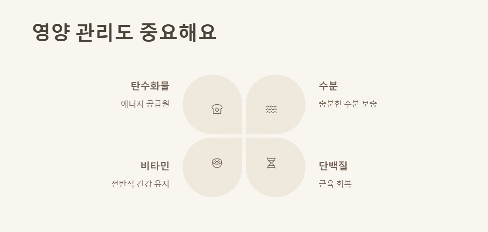 마라톤 초보자를 위한 준비 가이드