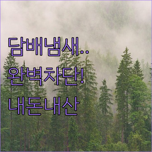 JW 피톤케어 차량용 방향제 내돈내산..