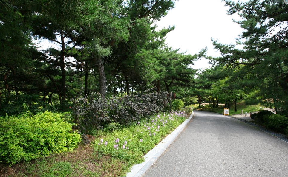 천안온천 vs 자연휴양림 (휴식여행, 피로회복, 체험차이)