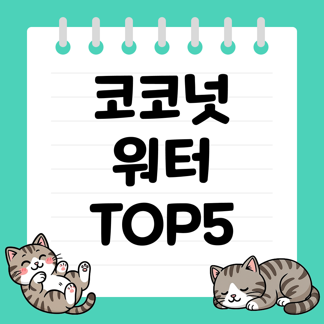 천연 전해질로 수분 충전! 건강한 코코넛 워터 추천 순위 TOP5