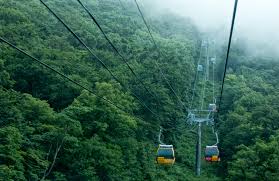 평창 발왕산 케이블카 3