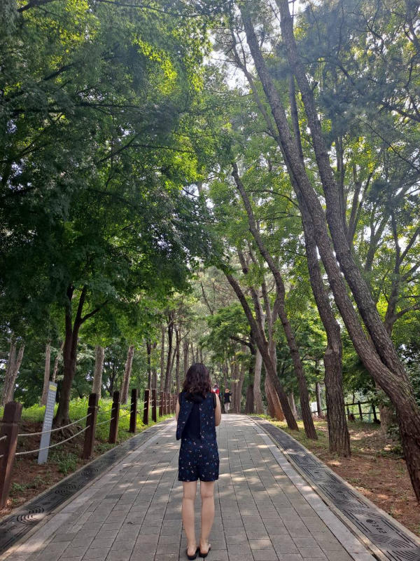 광성보 나무사이 오르막길