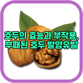 호두의 효능과 부작용, 부패된 호두 발암유발