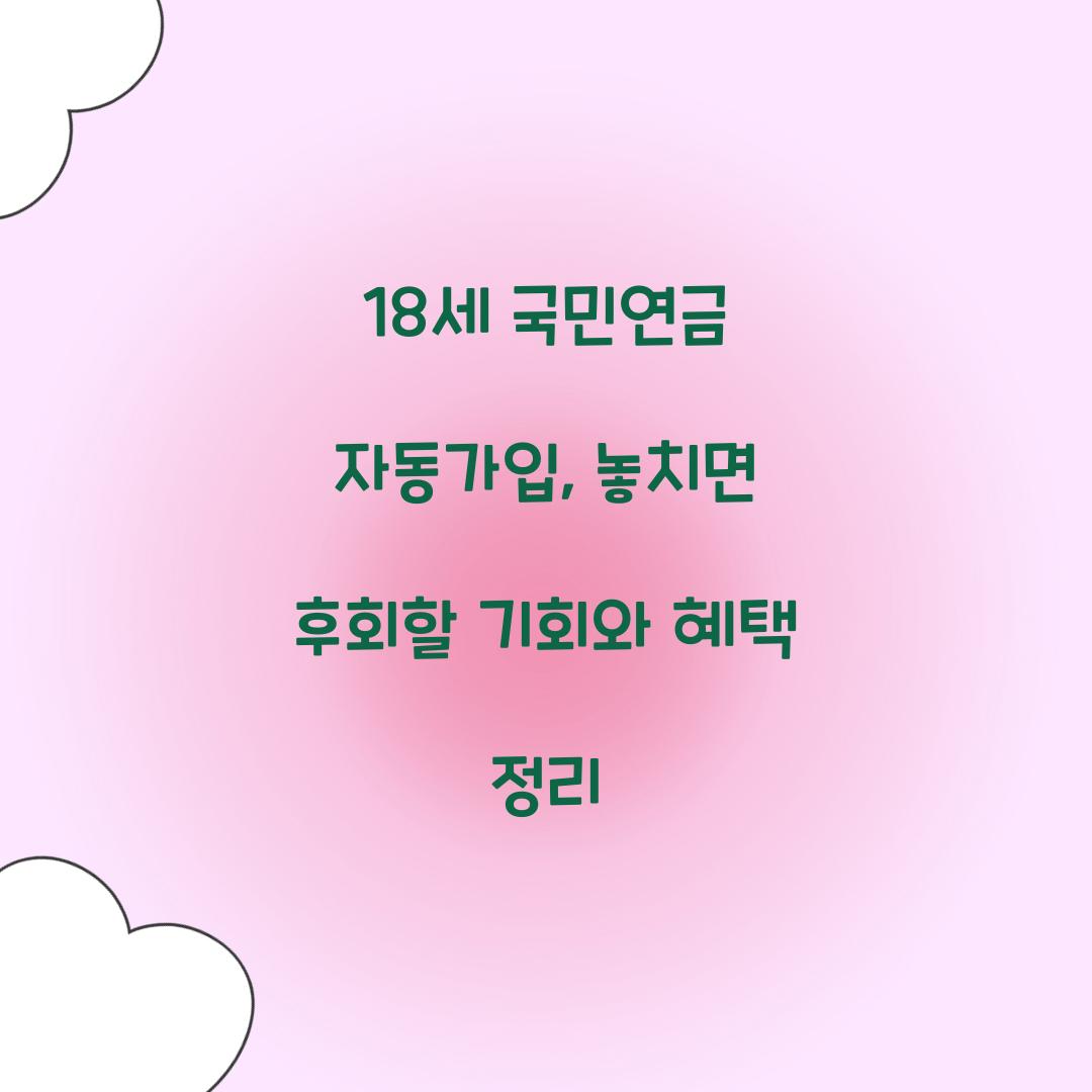 18세 국민연금 자동가입