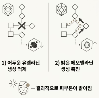 글루타치온 효능