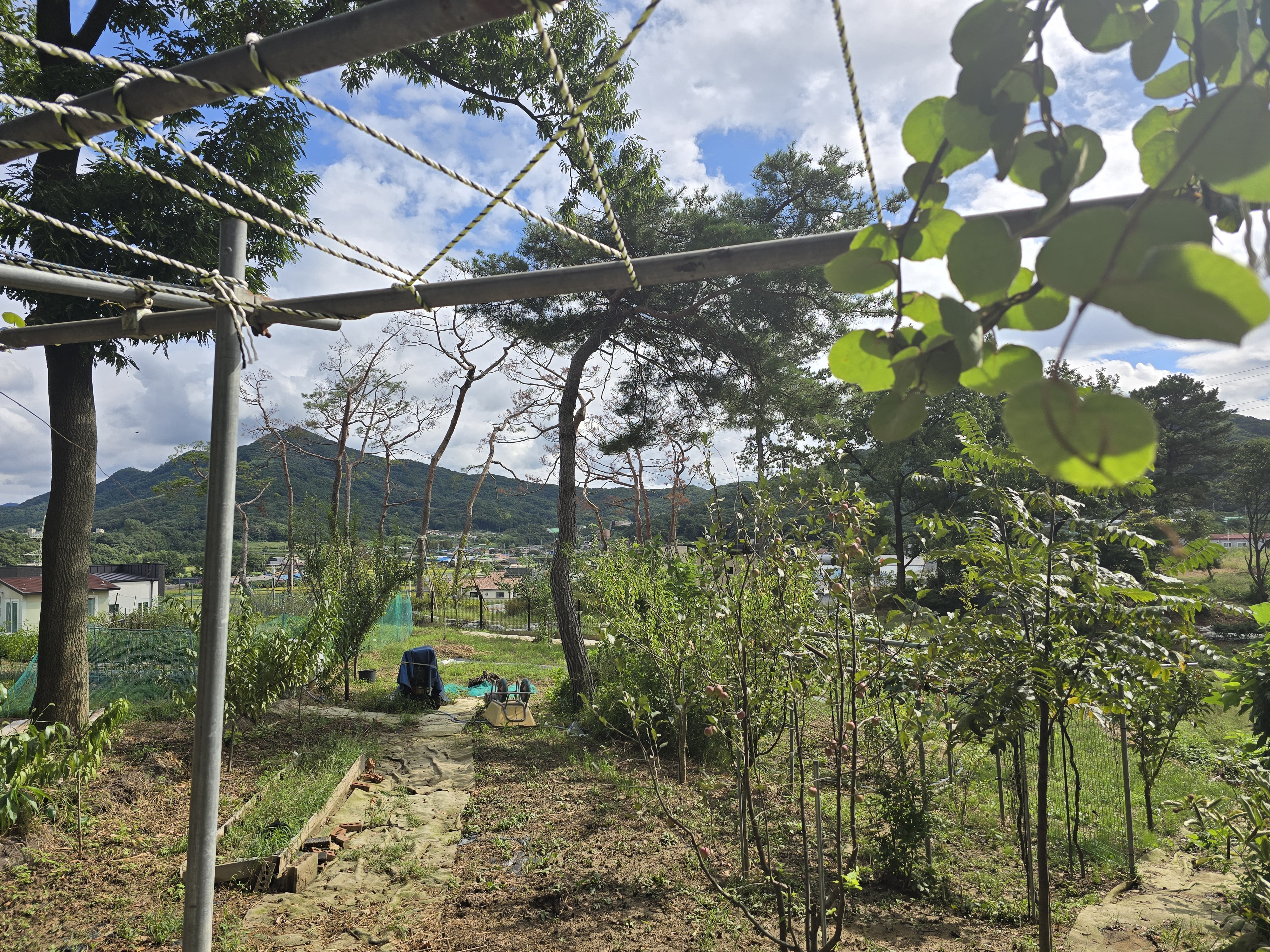 재개발 가능지역 농장 모습