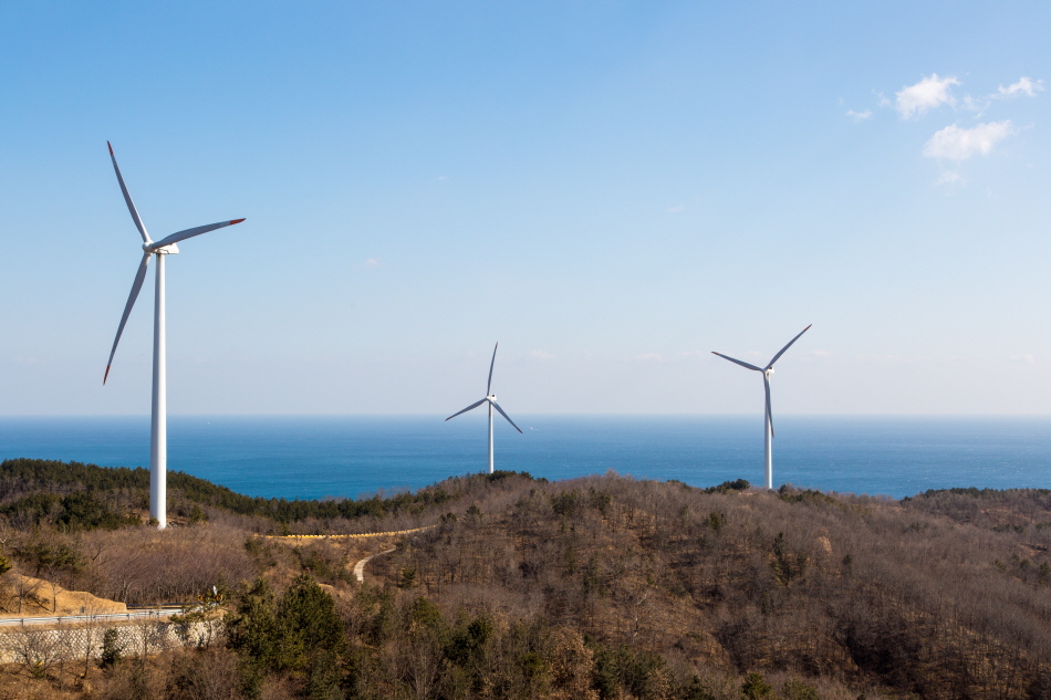 영덕 가볼만한곳 베스트10