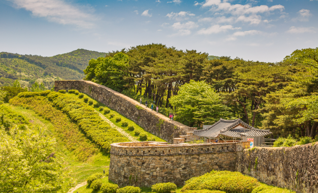 고창 정착 리얼 가이드 &mdash; 조용하지만 생활은 느리지 않은 도시