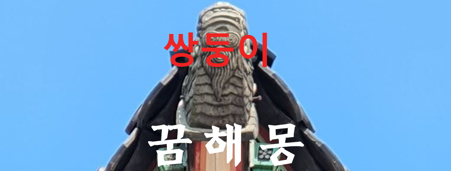 꿈해몽