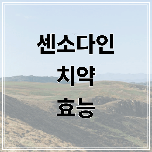 센소다인 치약 효능