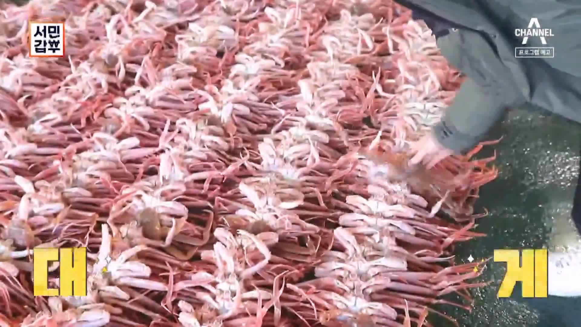 서민갑부 포항 생물 대게 전국 택배 배송 상위 1% 오디션 박달대게 파는 연 매출 30억 원 청년 장사꾼 갑부 방송 정보