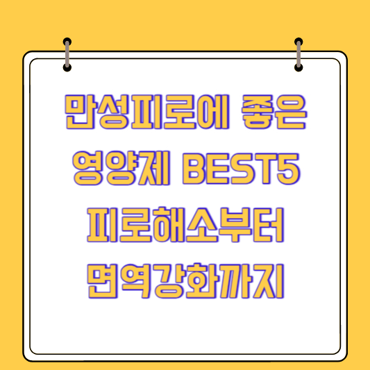 만성피로에 좋은 영양제 BEST5(피로해소부터 면역강화까지)