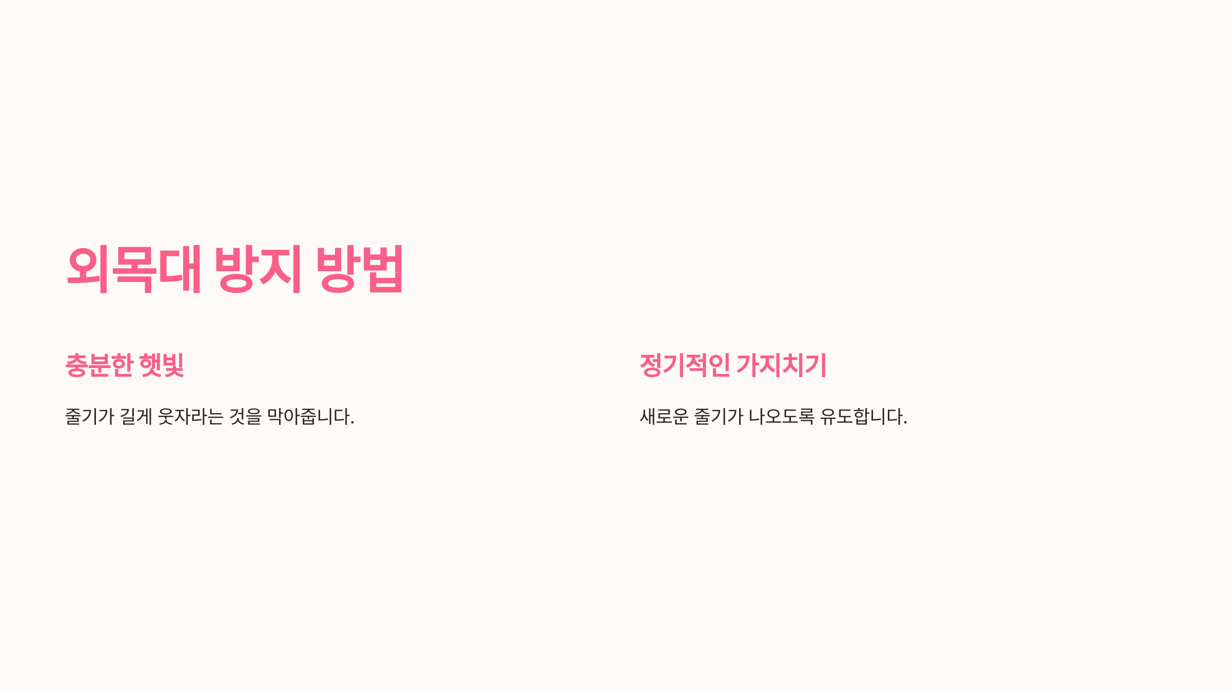 칼랑코에 사진입니다.