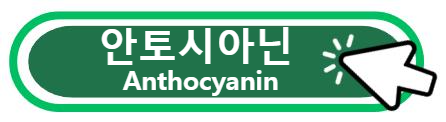 안토시아닌 알아보기