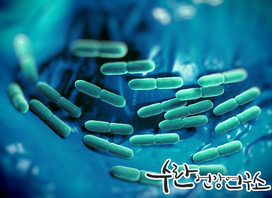 LGG 유산균 효능 부작용