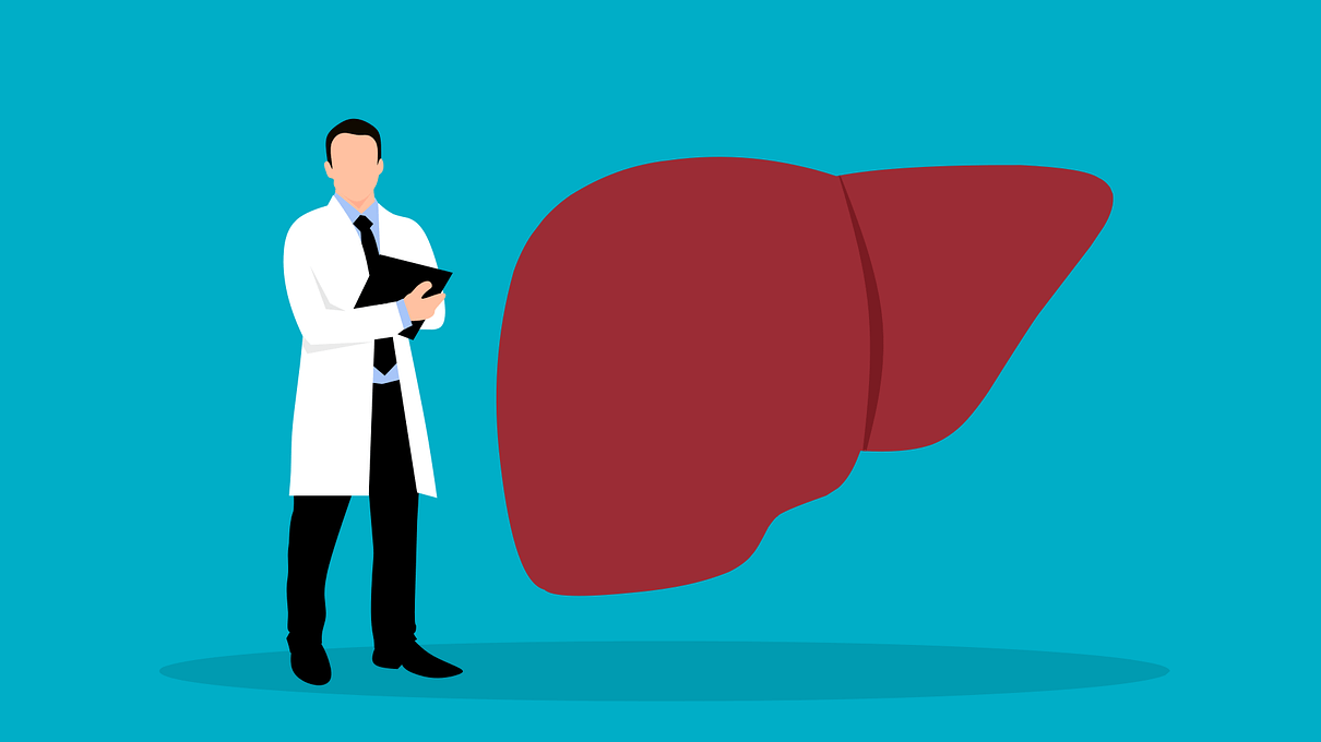국내 간 건강 영양제 정보와 간 기능을 설명하는 의사 일러스트