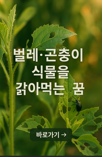 벌레 곤충이 식물을 갉아 먹는 꿈