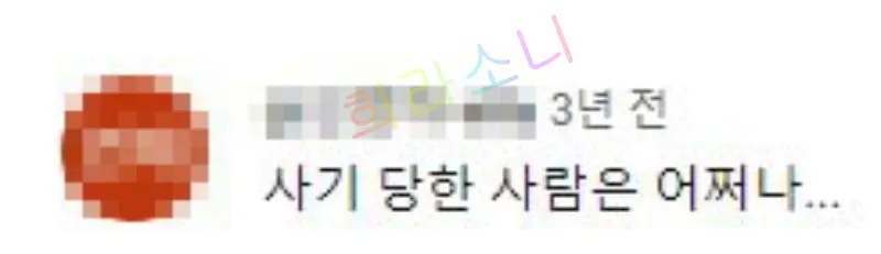한 댓글 캡처 화면으로&amp;#44; &amp;quot;사기 당한 사람은 어쩌나...&amp;quot;라는 문장이 보인다.