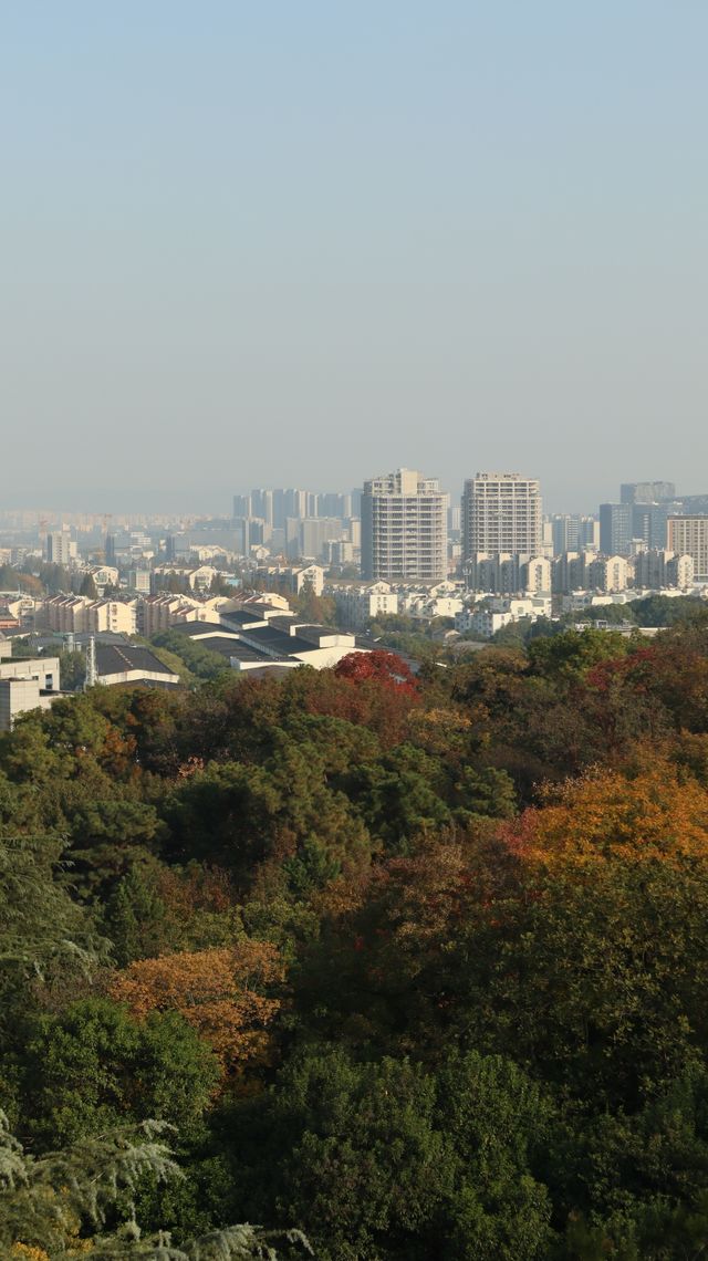 10월 20일 10월 26일 전국 날씨 예보 지역별 기온 강수 전망