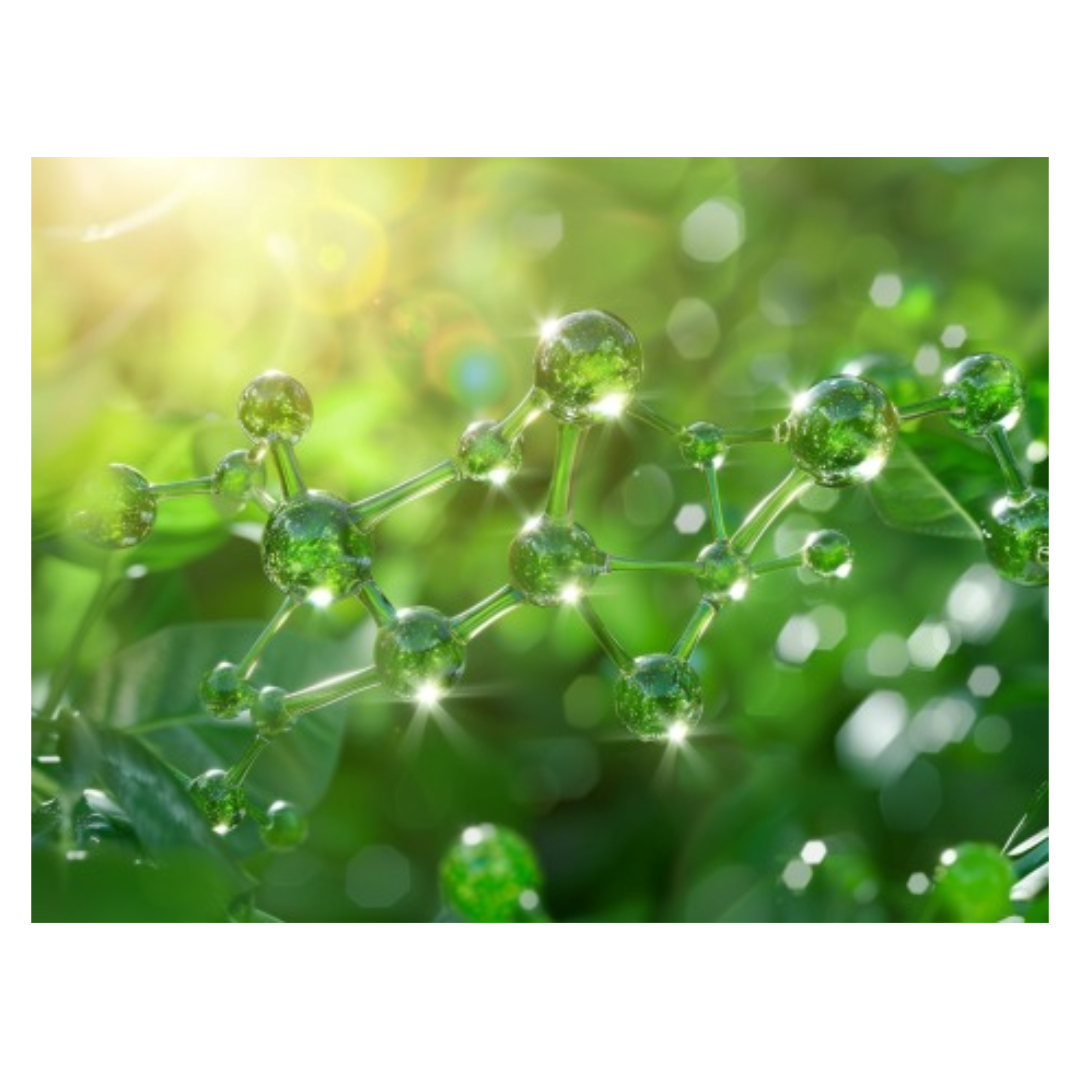 유방암과 관련된 사진입니다.