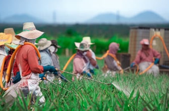 농민수당&amp;#44; 농어민수당&amp;#44; 농민기본소득&amp;#44; 농민공익수당 신청자격&amp;#44; 기간&amp;#44; 방법