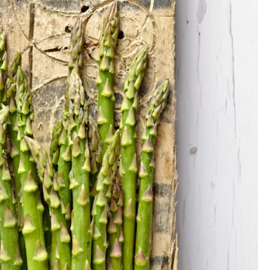 아스파라거스 효능 사랑받는 6가지 고르는법 부작용