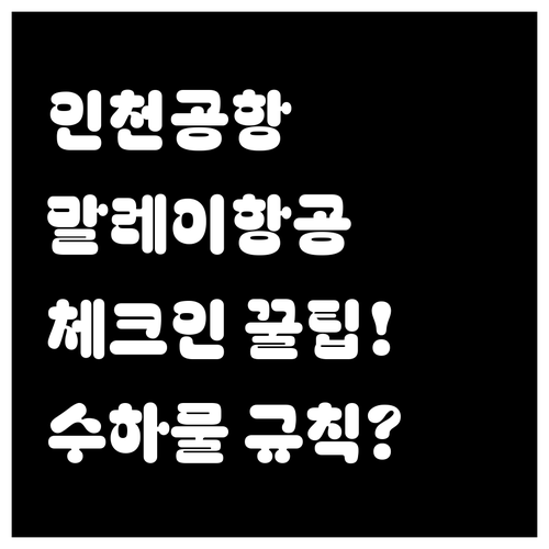 인천공항 말레이시아 항공 체크인 카운..