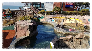 아일랜드 리솜 오아식스 선셋스파