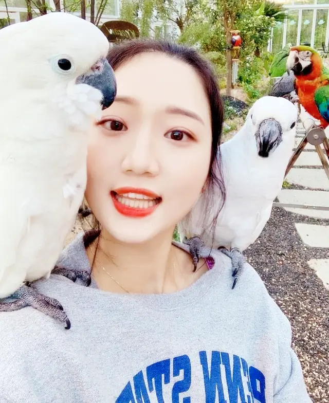 생방송오늘저녁 양평 용문산 카페 추천 자유 비행 앵무새 카페
