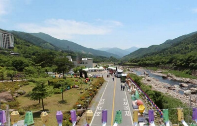 2024 하동 야생차문화축제 일정, 프로그램, 주차장