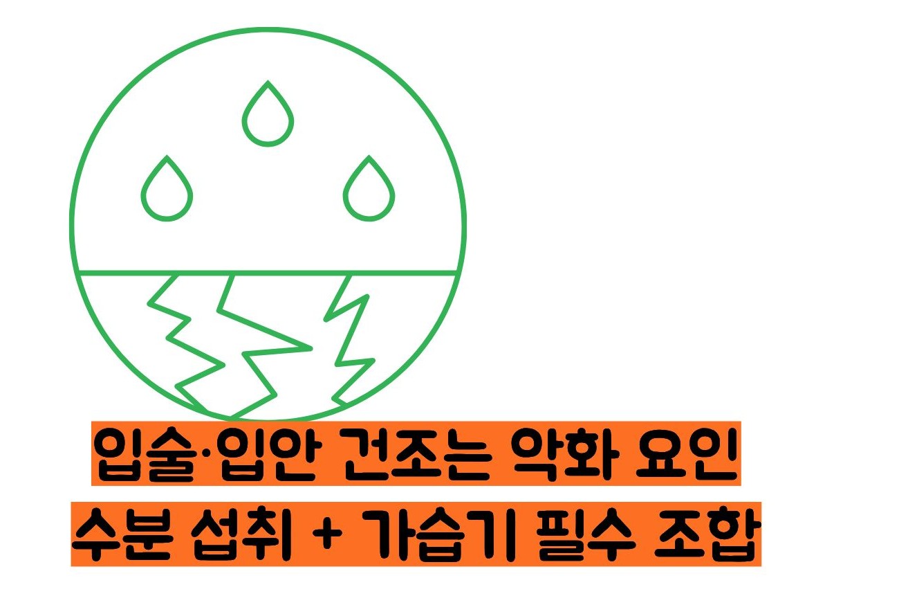 입병 빨리 낫는 법