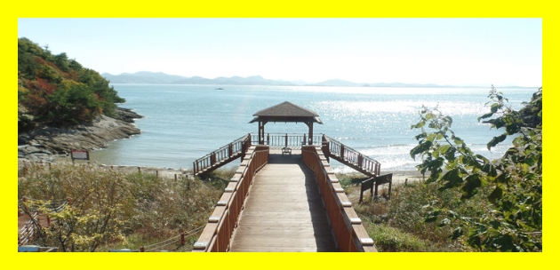 국립자연휴양림 가격표&amp;#44; 국립자연휴양림 성수기 예약&amp;#44; 국립자연휴양림 여름성수기&amp;#44; 여름 자연휴양림 추천&amp;#44; 여름휴양림 예약&amp;#44; 성수기 산림청 숙소&amp;#44; 국립휴양림 캠핑&amp;#44; 국립휴양림 야영장&amp;#44; 국립휴양림 숲속의집&amp;#44;