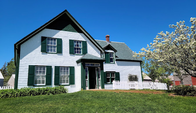 빨강머리앤 관련사진