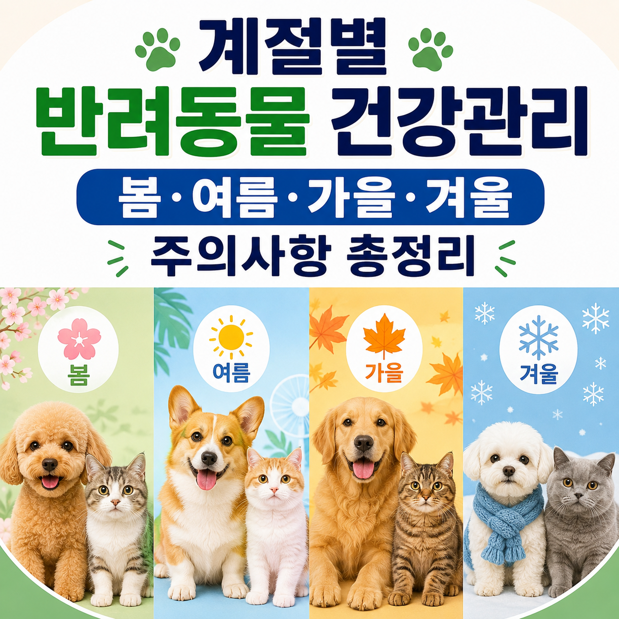 계절별 반려동물 건강관리