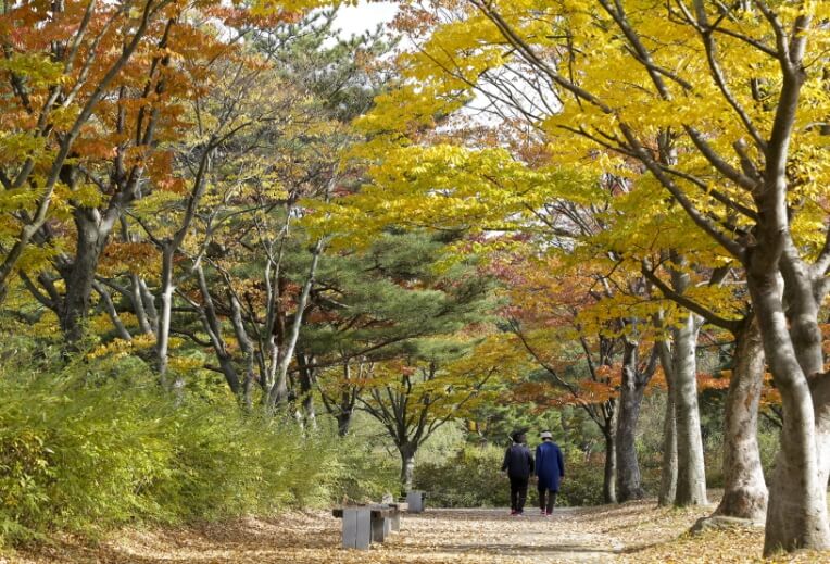 천안 가볼만한곳 베스트 10