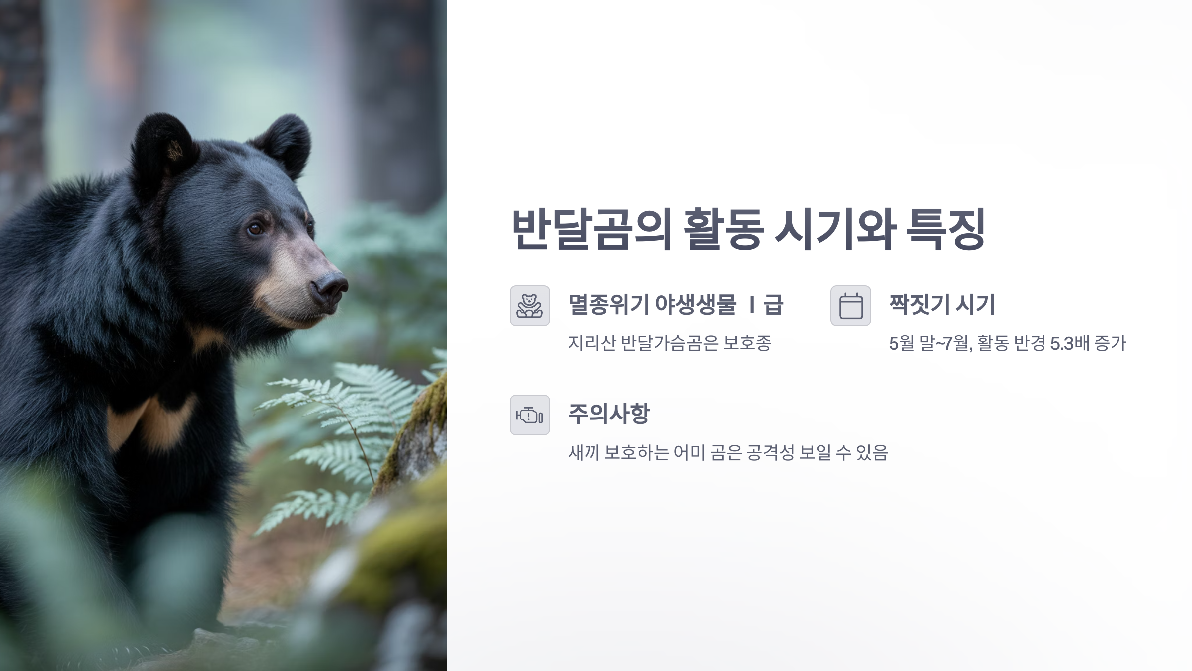 참조-지리산-반달곰,-호루라기-2