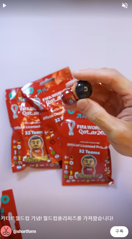 카타르 월드컵 플리퍼즈 쇼츠