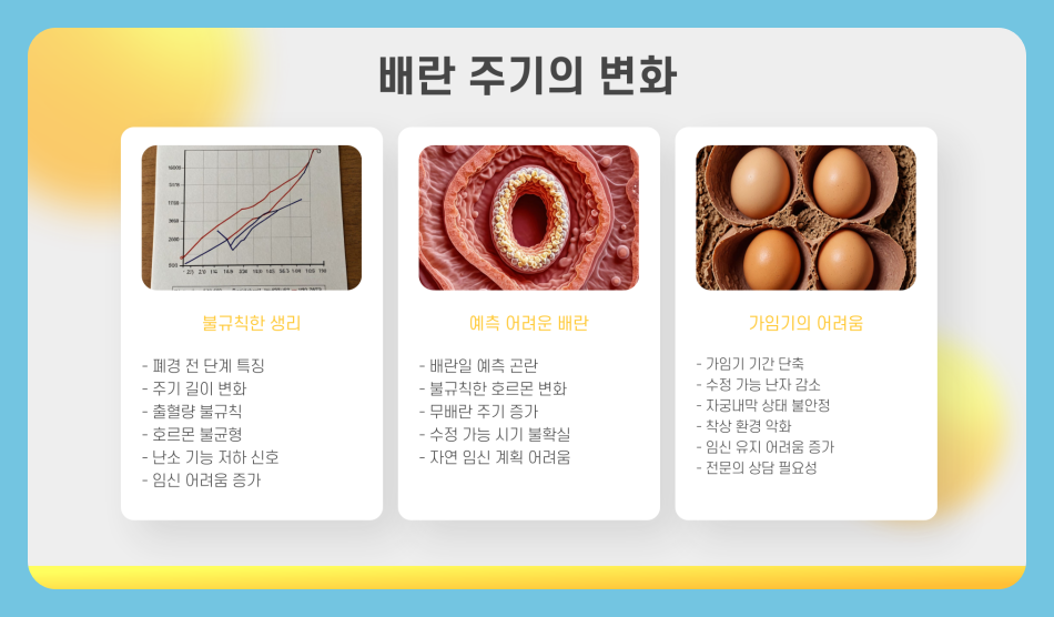 50세 임신 가능성 가임기 여성 배란일, 자연 임신 가능할까?