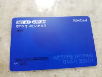 농협 민생회복지원금 잔액조회 방법 완벽 정리 사용처 확인방법_5