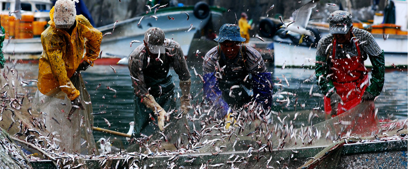2025남해 보물섬해산물축제 관련사진