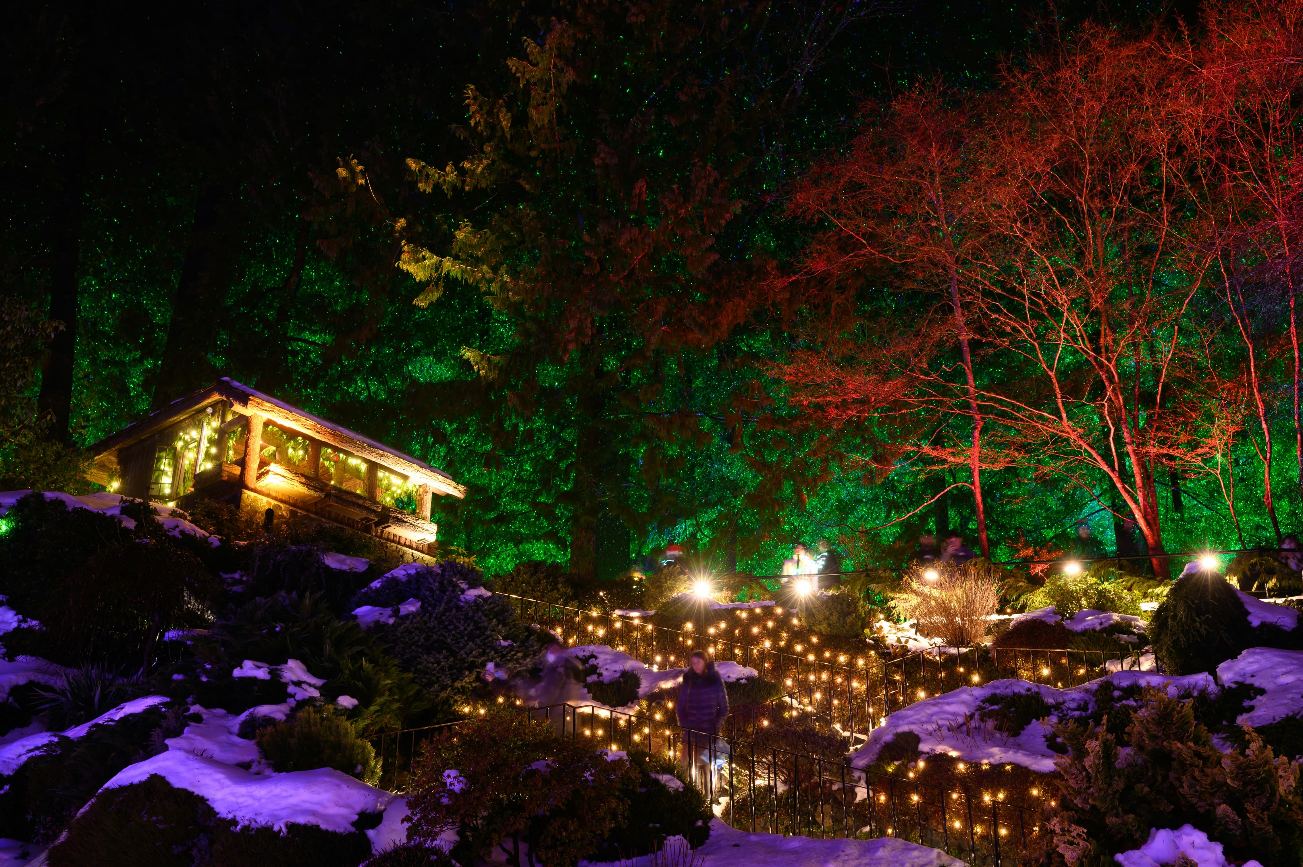 국내 겨울 축제 여행지 추천