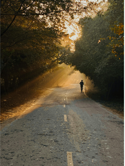 시골의사 박경철 자기혁명 서평